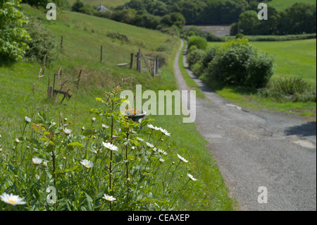 Bilder-Europa Stockfoto