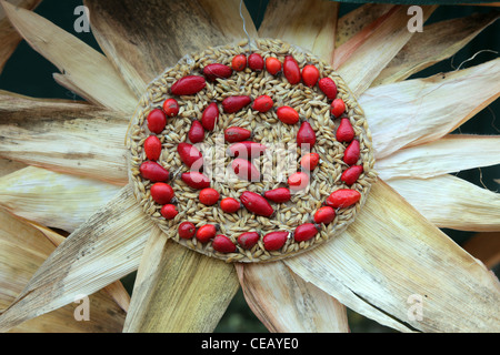 Bunte handgefertigte Blumen aus Mais und Getreide Stockfoto