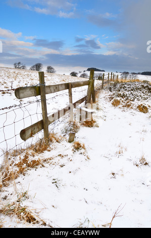 Schneefall in einem Stil auf North Hill auf die Mendip Hills in der Nähe von Priddy, Somerset, England. Stockfoto