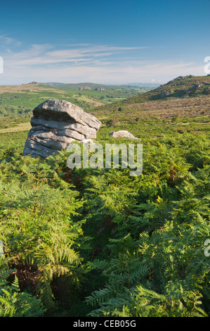 Sommer Moor Blick Richtung Holwell Tor, Greator Felsen und Hound Tor, August 2011. Stockfoto