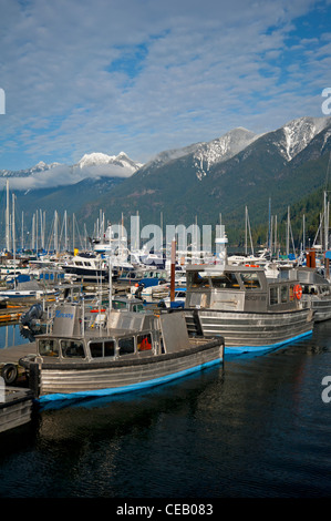 Das Bootfahren Marina an der Horseshoe Bay, Vancouver, Britisch-Kolumbien. Kanada.  SCO 7924 Stockfoto