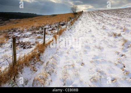 Schnee am North Hill auf die Mendip Hills in der Nähe von Priddy, Somerset, England. Stockfoto