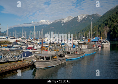 Das Bootfahren Marina an der Horseshoe Bay, Vancouver, Britisch-Kolumbien. Kanada.  SCO 7925 Stockfoto