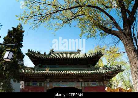 Ritan Park, Chaoyang District, Beijing, China, Asien. Stockfoto