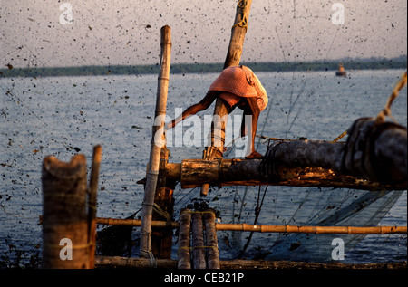 Ein Fischer zieht eine traditionelle chinesische Netz Fang des Tages in Kochi Cochin bekannt auch als im Südwesten Indiens Küsten Kerala Staat zu sortieren. Stockfoto