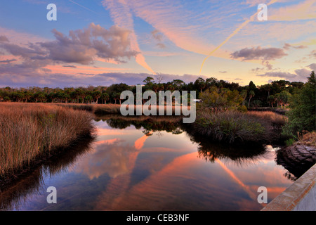 Abend Wolken über Priel durch Salzwasser Marsh, Hernando County, Florida Stockfoto