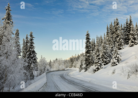 Eagle River Road schlängelt sich durch Eagle River Valley und Chugach State Park unter die Fichten in Yunan Alaska. Stockfoto