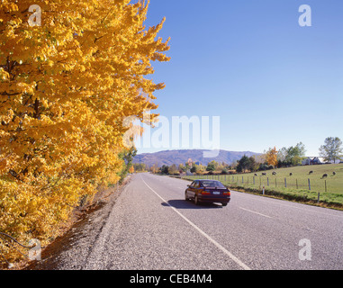 Autofahren auf Gibbston Highway.6. in der Nähe von Queenstown, Otago Region, Südinsel, Neuseeland Stockfoto