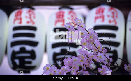 Künstliche Kirschblüte, Senso-Ji Tempel, Asakusa, Tokio, Japan Stockfoto