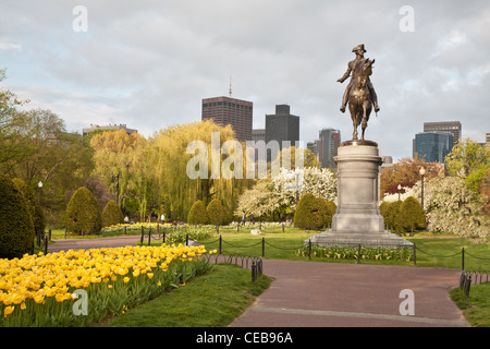 Boston Public Garden im Frühjahr mit gelben Tulpen und Statue von George Washington Stockfoto