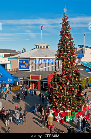 Weihnachtsbaum und Urlaub Dekor am Pier 39, San Francisco, Kalifornien Stockfoto