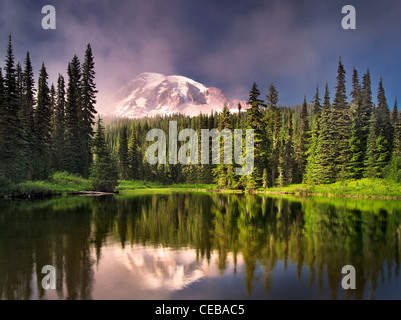 Spiegelung See mit Nebel auf dem Mt. Rainier. Mt. Rainier Nationalpark, Washington Stockfoto