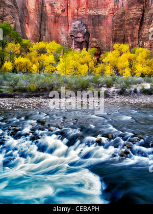 Die Kanzel und Herbst Farbe mit dem Virgin River am Temple of Sinawava. Zion Nationalpark, Utah Stockfoto