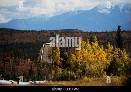 Trans-Alaska-Erdöl-Pipeline, Alaska, USA Stockfoto