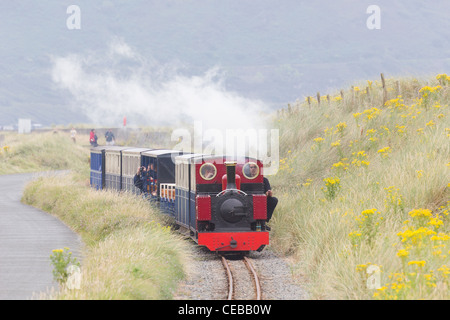 Eine rote Dampflok auf Fairbourne Steam Railway Stockfoto