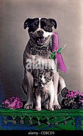 Vintage Foto von einem Hund mit Blättern im Kragen und Kätzchen saß auf einer Tabelle gefüllt, handbemalt, ca. 1920. Stockfoto