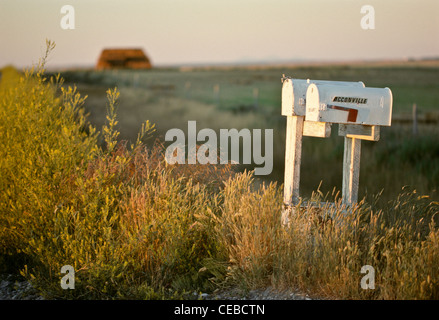 Ländliche Mailboxen (Letterbox), Montana, USA Stockfoto