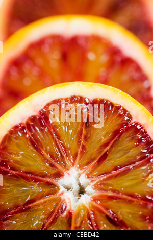 Citrus x Sinensis. Nahaufnahme von Blutorange Hälften. Stockfoto