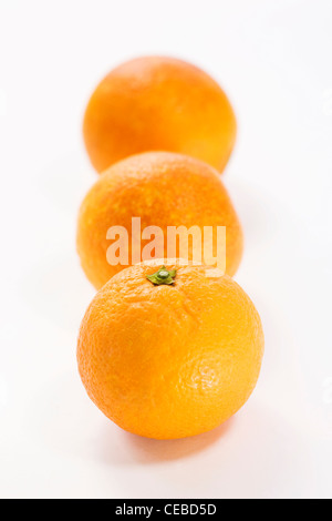 Citrus X sinenesis. Drei Blutorangen auf weißem Hintergrund. Stockfoto