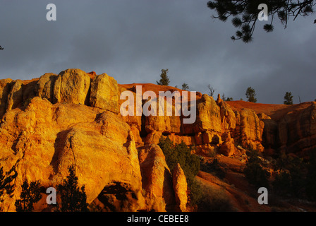 Red Rock Canyon Wände und Türme in der Morgensonne, Utah Stockfoto