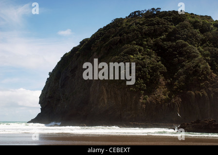 Piha Beach, North Island, Neuseeland. Stockfoto