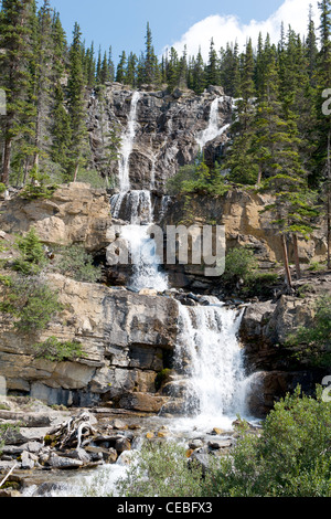 Scenic Tangle Falls, eine Attraktion auf dem Icefields Parkway, Alberta, Kanada. Stockfoto