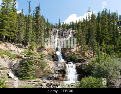 Scenic Tangle Falls, eine Attraktion auf dem Icefields Parkway, Alberta, Kanada. Stockfoto