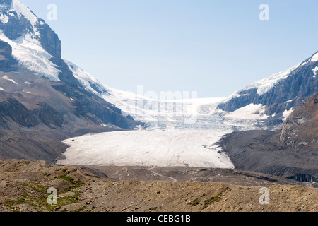 Athabasca Gletscher, einer "Zehe" das Columbia Icefield, in der Nähe von Highway 93 Icefields Parkway, Jasper Nationalpark, Alberta, Kanada. Stockfoto