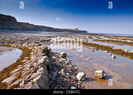 Dramatische blaue Lias rock Schichten am Strand von Kilve auf den Kanal von Bristol, Somerset, England, UK Stockfoto