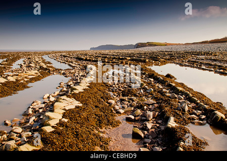 Dramatische blaue Lias rock Schichten am Strand von Kilve auf den Kanal von Bristol, Somerset, England, UK Stockfoto