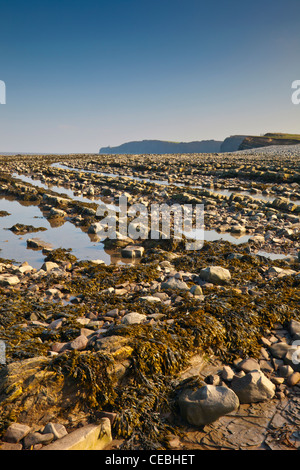 Dramatische blaue Lias rock Schichten am Strand von Kilve auf den Kanal von Bristol, Somerset, England, UK Stockfoto