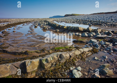 Dramatische blaue Lias rock Schichten am Strand von Kilve auf den Kanal von Bristol, Somerset, England, UK Stockfoto