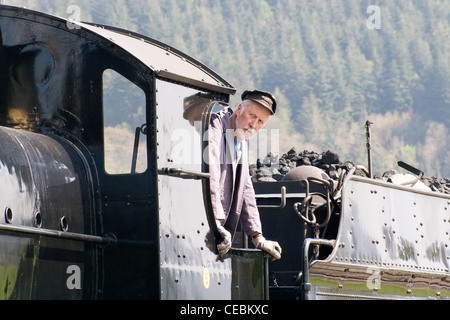 Dampflok zieht einen Zug auf der Llangollen Railway, der Lokführer, die darauf warten, fahren Stockfoto