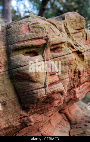 Sphinx - wie Gesichter in Sandsteinfelsen, Bridgnorth geschnitzt, Shropshire Stockfoto