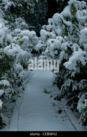 Ein tief verschneiten Weg führt in die Mitte des Bildes, auf beiden Seiten durch Sträucher schwer mit Schnee begrenzt. Stockfoto