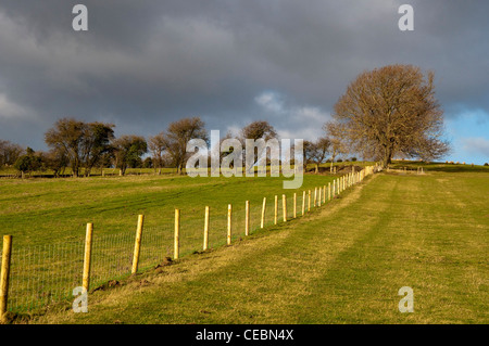 Britische Landschaft im Winter, gepflegtes, England, UK Stockfoto