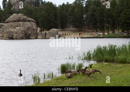 Sylvan Lake in Black Hills National Forest Custer State Park South Dakota in den USA USA wunderschöne Landschaft Natur über der Höhe der horizontalen Hi-res Stockfoto