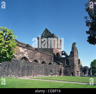Sweetheart Abbey, neue Abtei, Nithsdale, Dumfries & Galloway, Schottland, Großbritannien Stockfoto