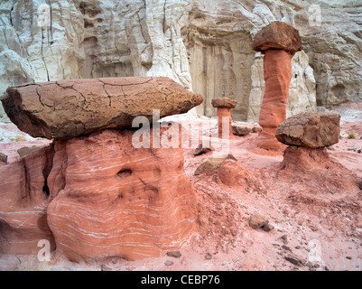 Hodoos bei der Bildung der Fliegenpilz in Escalante National Monument Treppe Utah Stockfoto