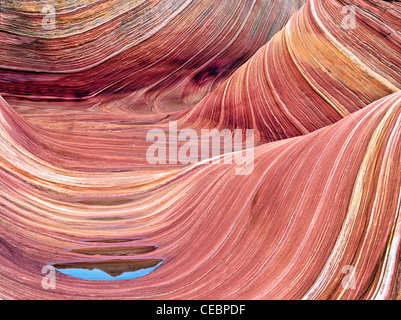 Sandtone Bildung und Wasserbecken in North Coyote Buttes, The Wave. Paria Canyon-Vermillion Cliffs Wilderness. Utah und Arizona Stockfoto