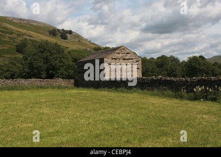 Ein Feld-Scheune in der Nähe von Muker im Swaledale Stockfoto