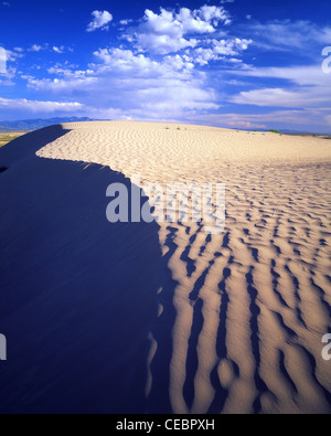 Sanddüne bei Little Sahara in West-Utah in der Nähe von Nevada State Linie Stockfoto