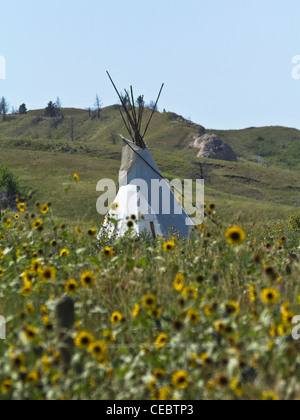 Indianer Reservat Lakota Oglala Sioux Pine Ridge South Dakota in den USA US-amerikanische Prärie Prärie Prärien Landschaft Natur nobdy vertikale Hochauflösung Stockfoto