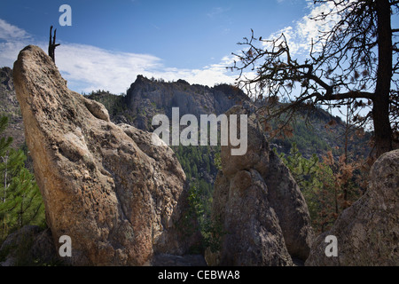 Black Hills National Forest Custer State Park Needles Highway South Dakota in den USA USA wunderschöne Berglandschaft Natur Horizont Niemand horizontal hochauflösend Stockfoto