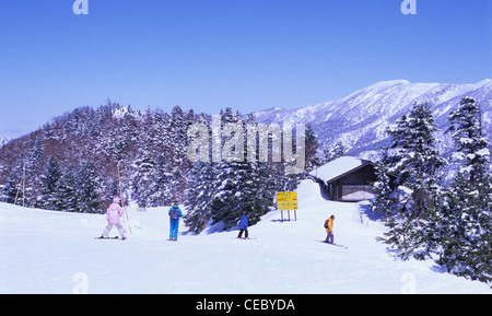 Skifahrer, Shiga Kogen, Präfektur Nagano, Japan Stockfoto