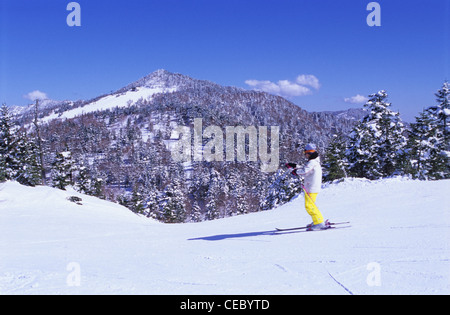 Skifahrer, Shiga Kogen, Präfektur Nagano, Japan Stockfoto