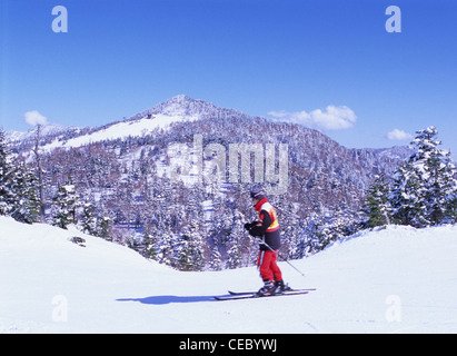 Skifahrer, Shiga Kogen, Präfektur Nagano, Japan Stockfoto