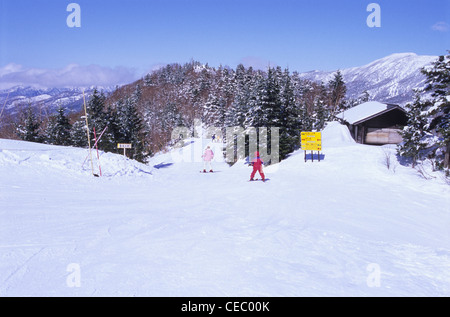 Skifahrer, Shiga Kogen, Präfektur Nagano, Japan Stockfoto