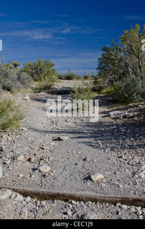 Wanderweg im Red Rock Canyon National Conservancy Las Vegas Nevada mit einem zerstreuten cloud-blauen Himmel. Stockfoto