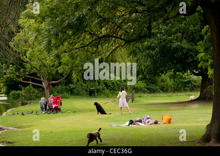 Frauen Kinder und Hunde in einem Park an einem Sommertag Stockfoto